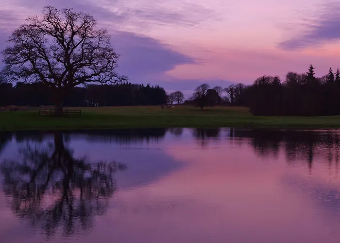 בית נופש Homes